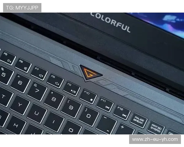 七彩虹G15游戏本购买指南,性能配置全面解析与选购建议 七彩虹G15游戏本购买指南,性能配置全面解析与选购建议